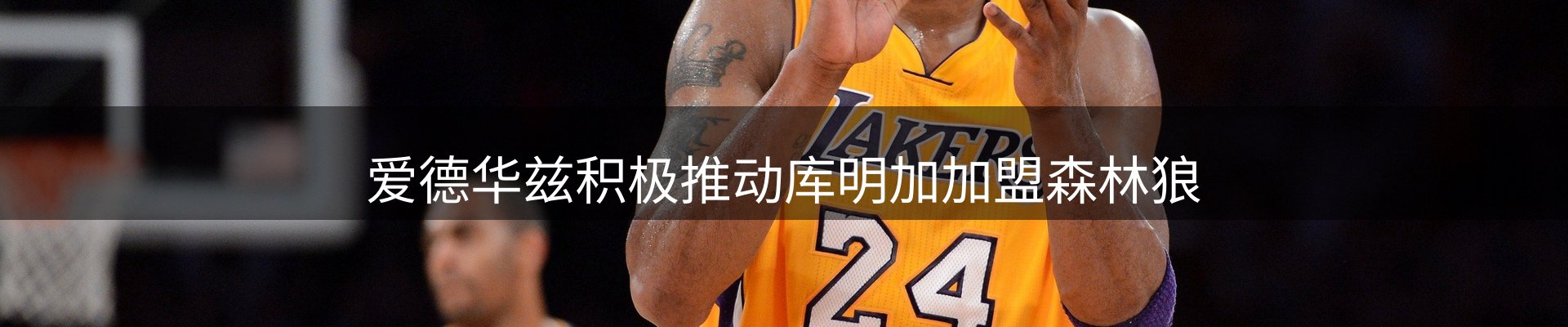 品牌焦点